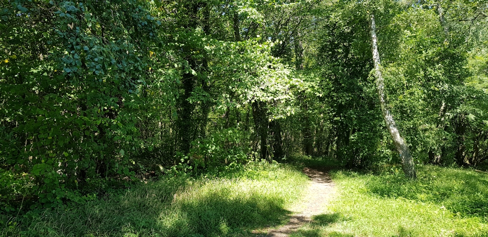 Natur_01